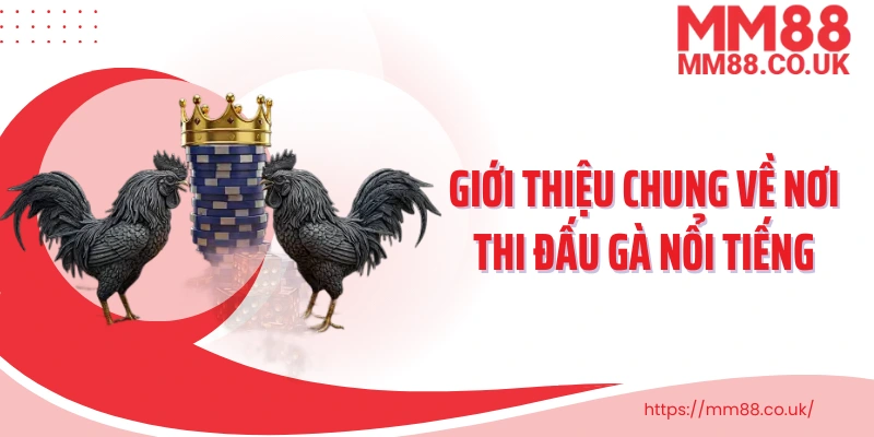 Giới thiệu chung về nơi thi đấu gà nổi tiếng và hợp pháp tại khu vực