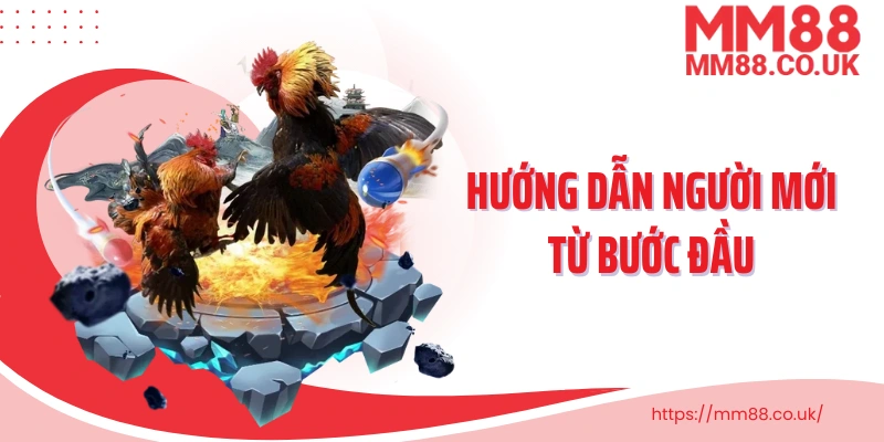 Hướng dẫn người mới từ bước đầu cho đến khi tham gia đặt cược trực tiếp