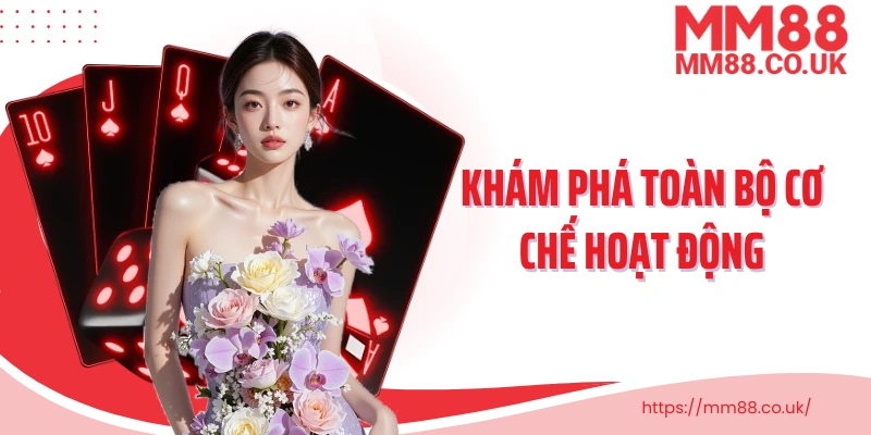 Khám phá toàn bộ cơ chế hoạt động và điểm nổi bật dragon tiger 